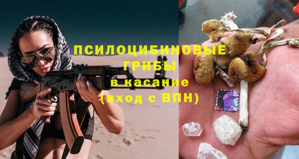 стаф Богданович